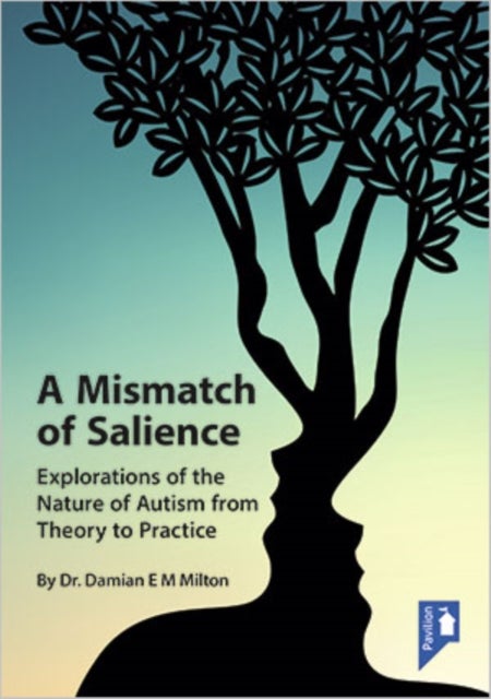 A Mismatch of Salience - Explorations from the Nature of Autism from Theory to Practice