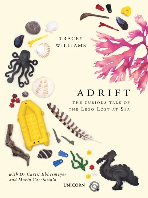Adrift - The Curious Tale of the Lego Lost at Sea