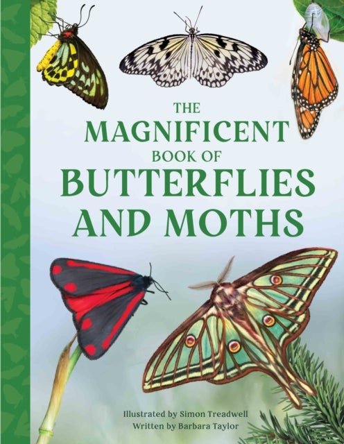 The Magnificent Book of Butterflies & Moths