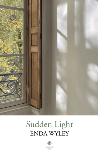 Sudden Light