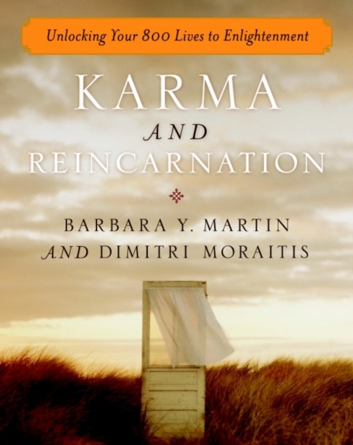 Karma and Reincarnation - Unlocking Your 800 Lives to Enlightenment