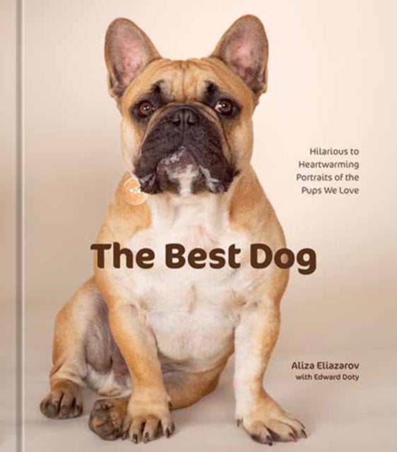 The Best Dog - Hilarious to Heartwarming Portraits of the Pups We Love