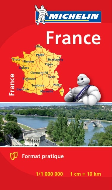 France - Michelin Mini Map 8721 - Map