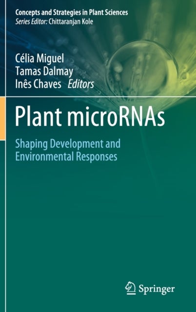 Plant microRNAs