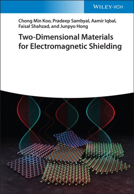 Two–Dimensional Materials for Electromagnetic Shielding