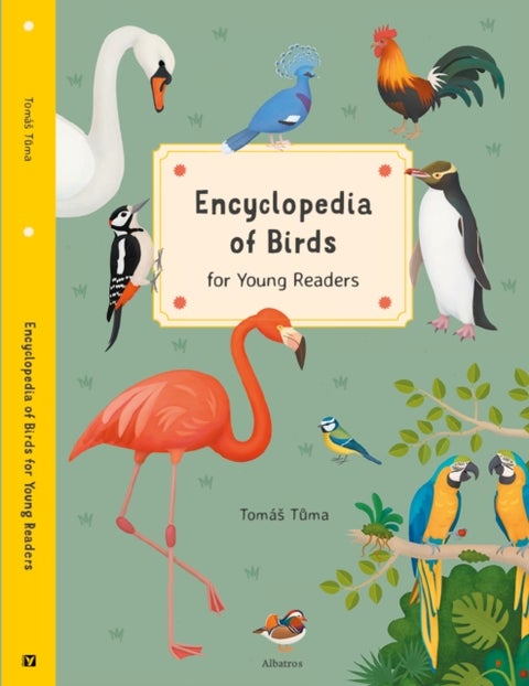 Encyclopedia of Birds for Young Readers - for Young Readers