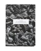 War: How Conflict Shaped Our Societies