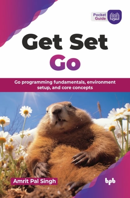 Get Set Go - Go programming fundamentals, environment setup, and core concepts