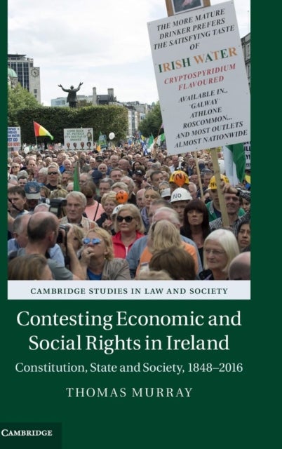 Contesting Economic and Social Rights in Ireland - Constitution, State and Society, 1848–2016