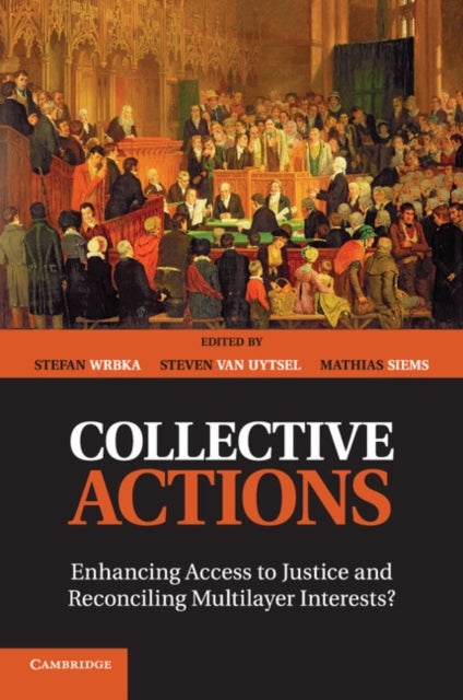 Collective Actions - Enhancing Access to Justice and Reconciling Multilayer Interests?
