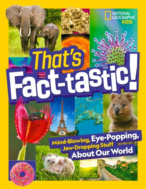 That¿s Fact-Tastic!