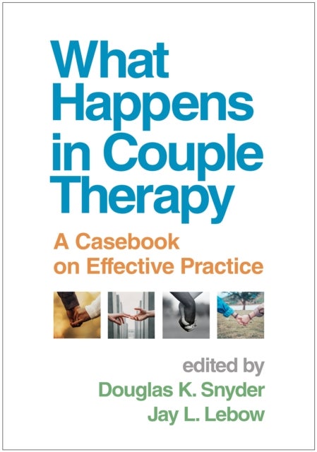 What Happens in Couple Therapy - A Casebook on Effective Practice