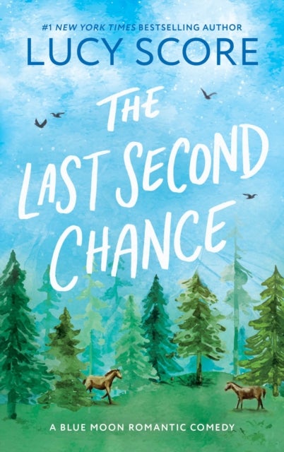 Last Second Chance - A Small Town Enemies to Lovers Romcom