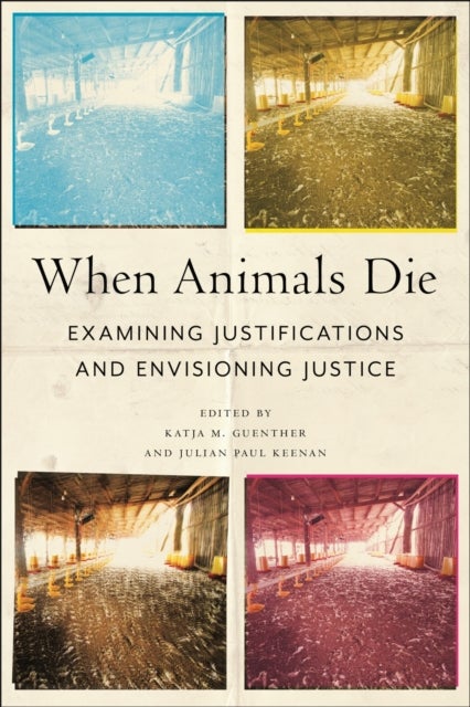 When Animals Die - Examining Justifications and Envisioning Justice