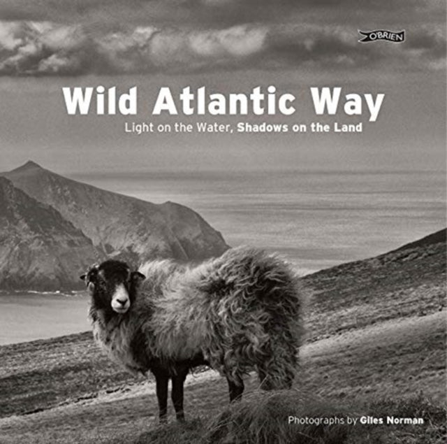 Wild Atlantic Way - Light on the water, shadows on the land