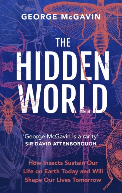 Hidden World - How Insects Sustain Life on Earth Today and Will Shape Our Lives Tomorrow