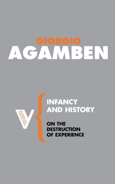 Infancy and History - On the Destruction of Experience