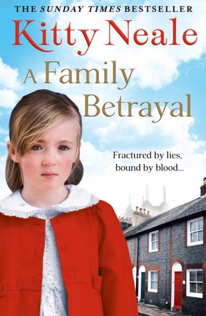 FAMILY BETRAYAL PB