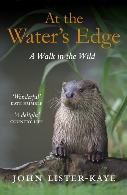 At the Water''s Edge - A Walk in the Wild