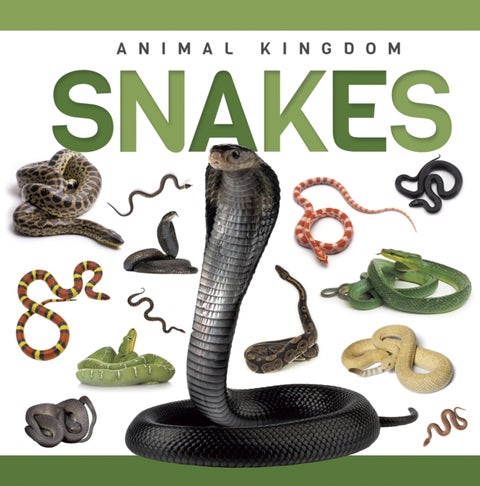 Snakes
