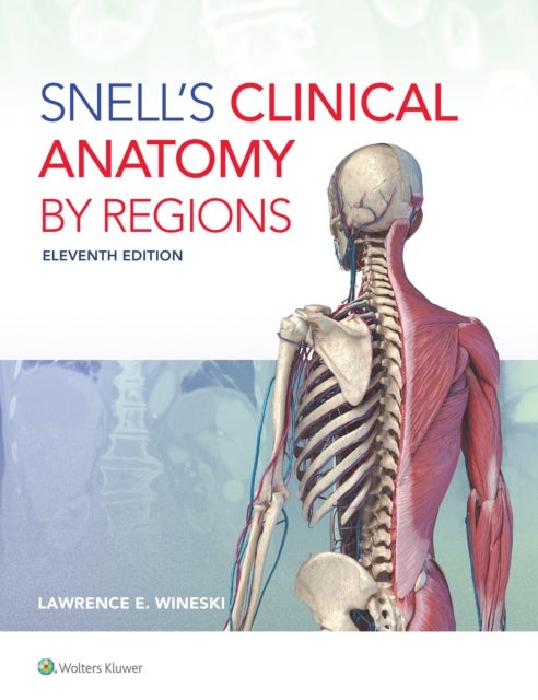 Snell''s Clinical Anatomy by Regions