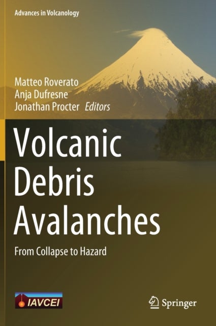Volcanic Debris Avalanches - From Collapse to Hazard