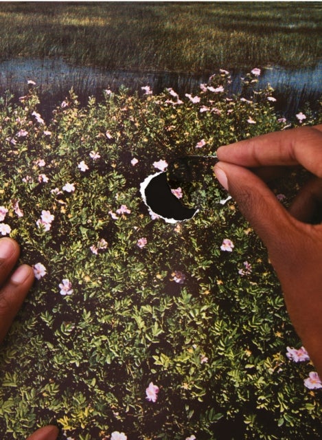RE/SISTERS - A Lens on Gender and Ecology