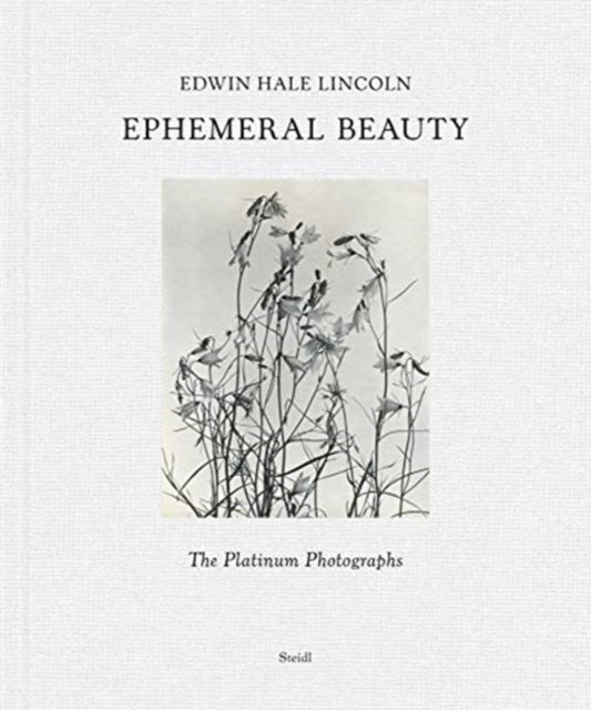 Edwin Hale Lincoln: Ephemeral Beauty - The Platinum Photographs
