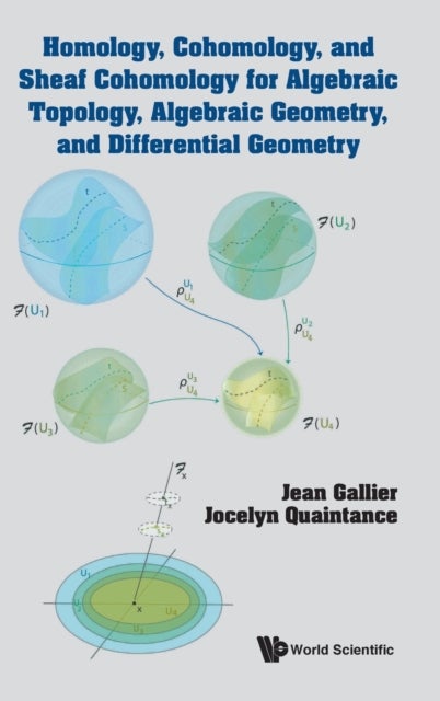 Homology, Cohomology, And Sheaf Cohomology For Algebraic Topology, Algebraic Geometry, And Different