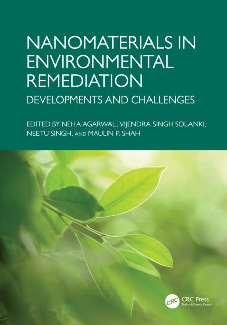 Nanomaterials in Environmental Remediation - Developments and Challenges