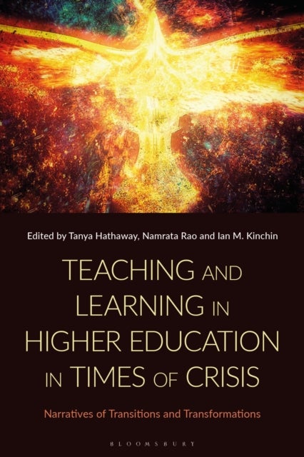 Teaching and Learning in Higher Education in Times of Crisis - Narratives of Transitions and Transformations