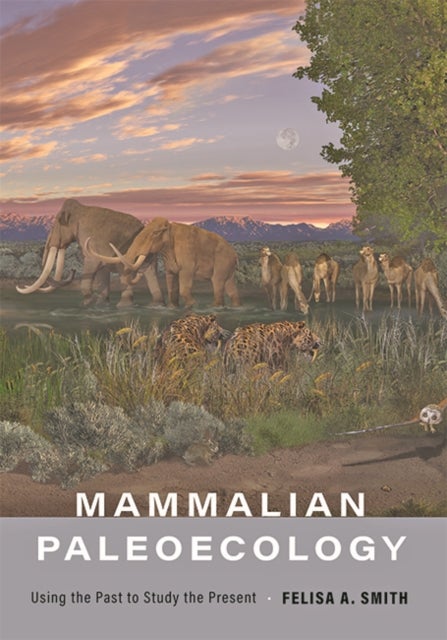 Mammalian Paleoecology - Using the Past to Study the Present