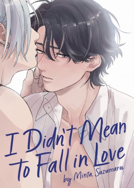 I Didn''t Mean to Fall in Love