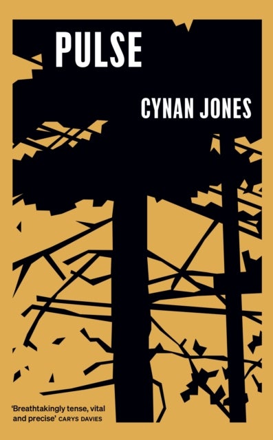 Pulse - Shortlisted for the Wales Fiction Book of the Year