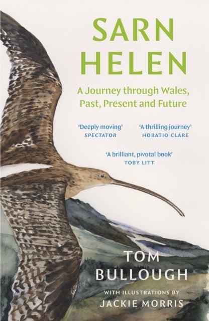 Sarn Helen - A Journey Through Wales, Past, Present and Future