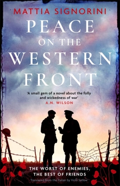 Peace on the Western Front - The emotional World War One historical novel perfect for Remembrance Day