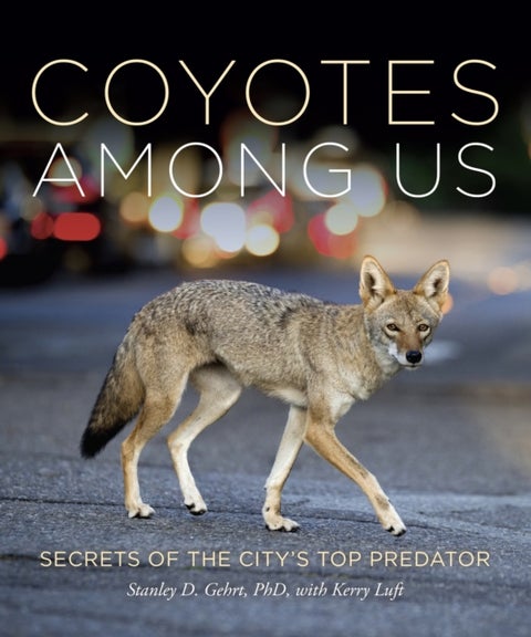 Coyotes Among Us - Secrets of the City’s Top Predator