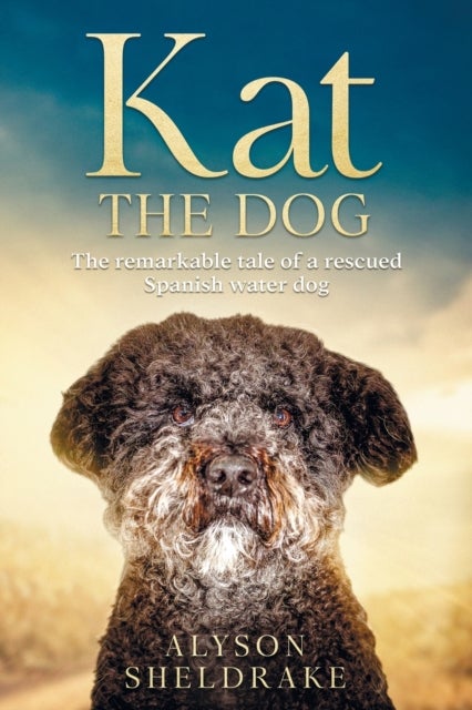 Kat the Dog - The remarkable tale of a rescued Spanish water dog