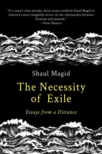 The Necessity of Exile - Essays from a Distance