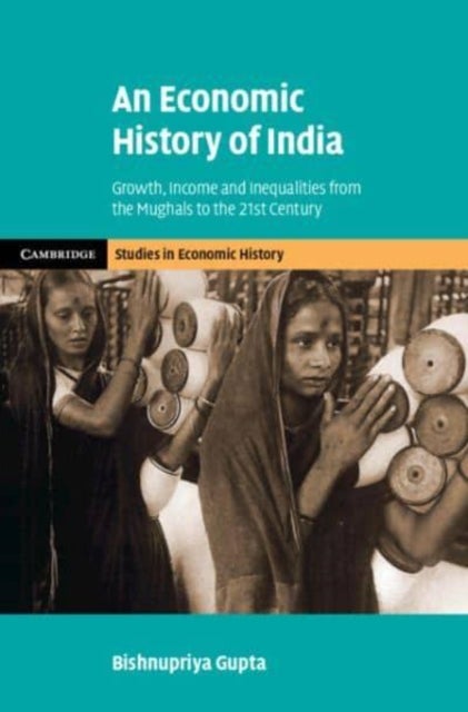 An Economic History of India - Growth, Income and Inequalities from the Mughals to the 21st Century