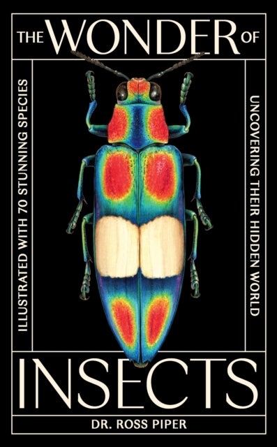 The Wonder of Insects: Uncovering their Hidden World - Fully Illustrated with 70 Stunning Species