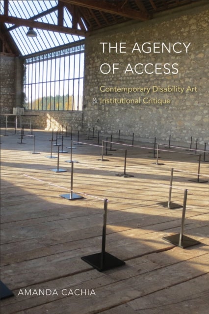 The Agency of Access - Contemporary Disability Art & Institutional Critique