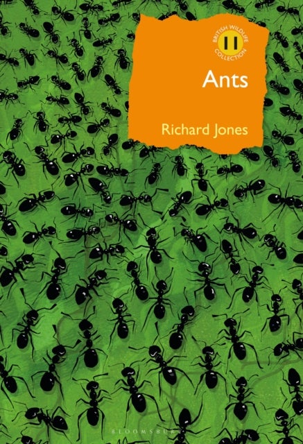 Ants - The ultimate social insects