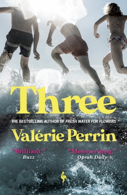 Three - From the bestselling author of Fresh Water for Flowers