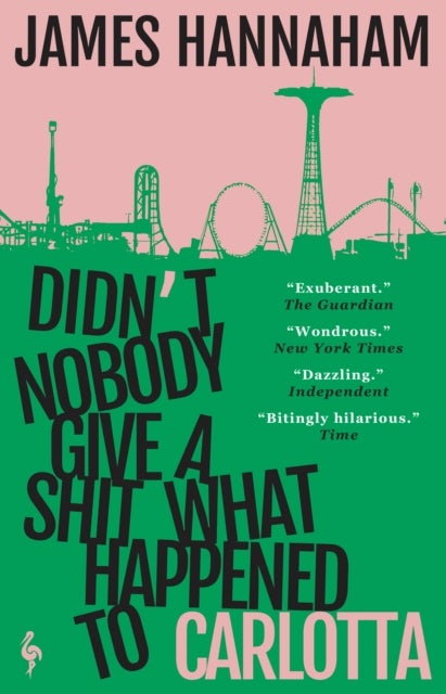 Didn''t Nobody Give a Shit What Happened to Carlotta - A novel