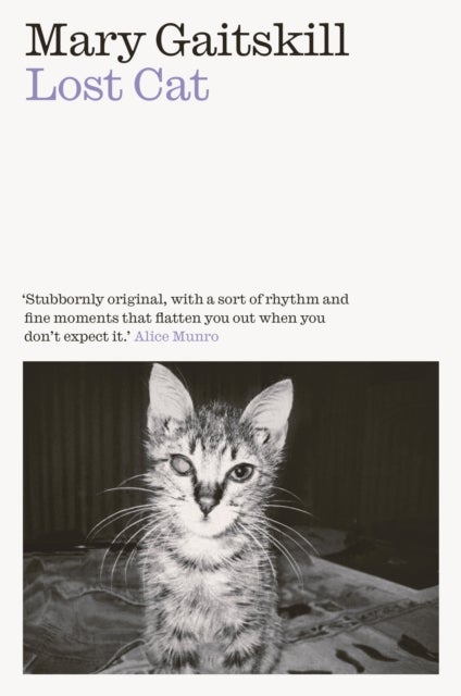 Lost Cat - A Memoir