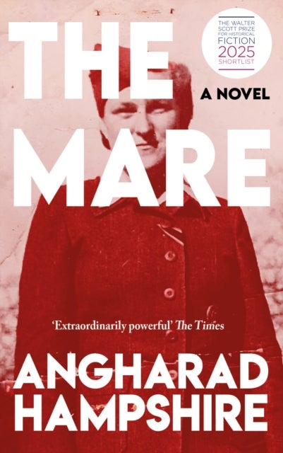 The Mare - A Novel