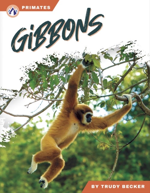 Gibbons