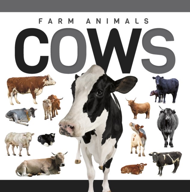 Cows
