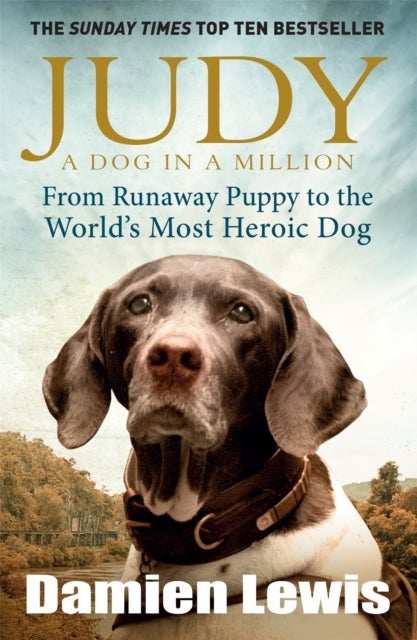 Judy: A Dog in a Million - From Runaway Puppy to the World's Most Heroic Dog